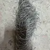 Купронікель
