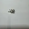 Контакты с Реле ПЛИ-10